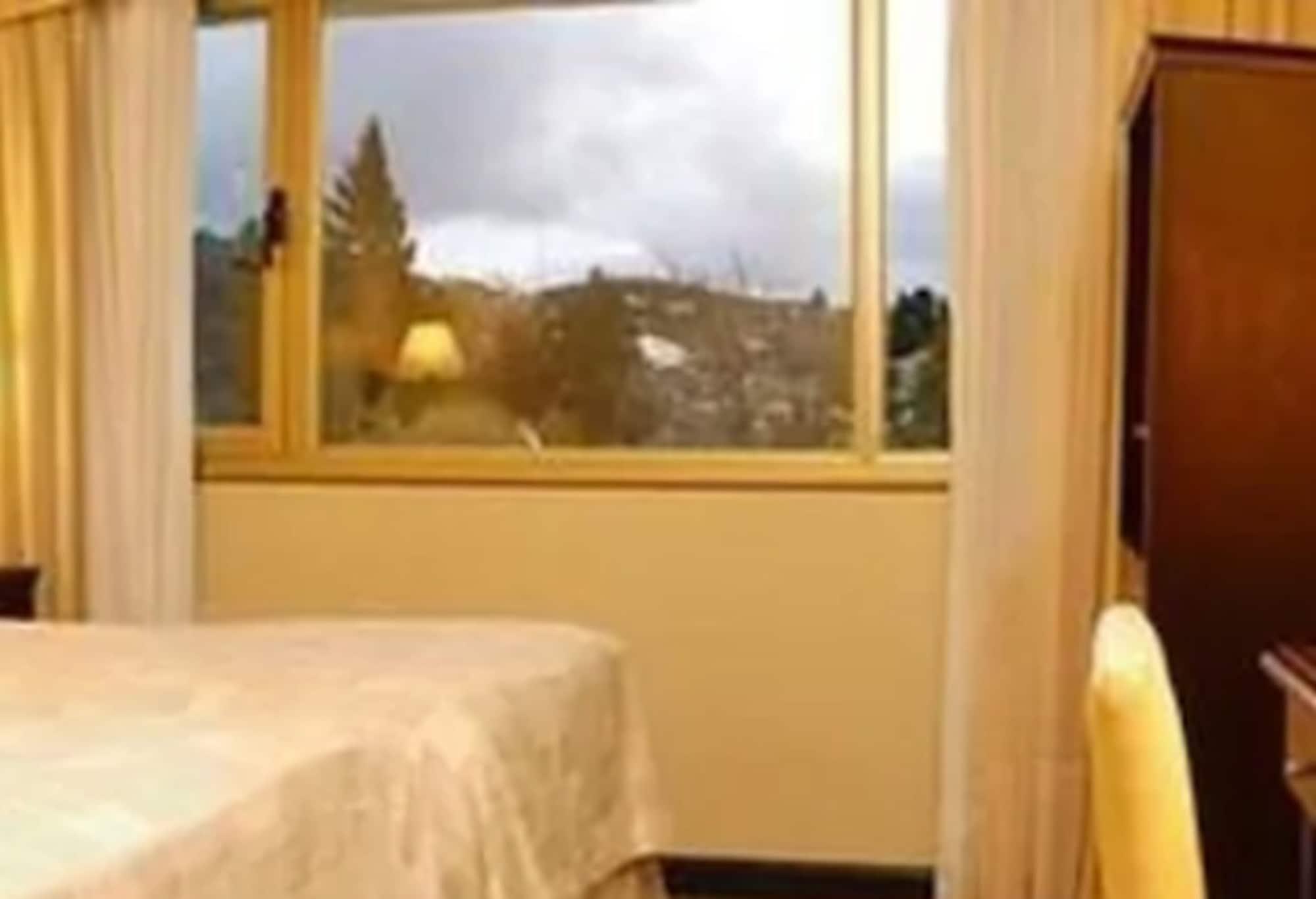 Kenton Palace Bariloche Екстериор снимка